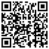 QR Code Handyversion