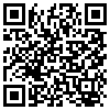 QR Code Handyversion