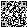 QR Code Handyversion