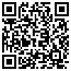 QR Code Handyversion