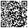 QR Code Handyversion