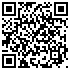 QR Code Handyversion