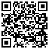 QR Code Handyversion