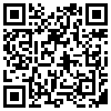 QR Code Handyversion