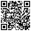 QR Code Handyversion