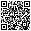 QR Code Handyversion