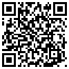 QR Code Handyversion