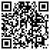 QR Code Handyversion