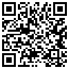 QR Code Handyversion