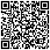 QR Code Handyversion