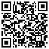 QR Code Handyversion