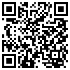 QR Code Handyversion