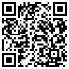 QR Code Handyversion