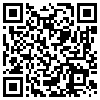 QR Code Handyversion