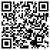 QR Code Handyversion