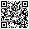 QR Code Handyversion