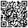 QR Code Handyversion