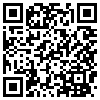 QR Code Handyversion