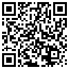 QR Code Handyversion