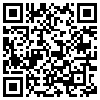 QR Code Handyversion