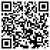 QR Code Handyversion