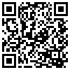 QR Code Handyversion