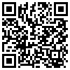 QR Code Handyversion