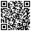 QR Code Handyversion