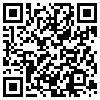 QR Code Handyversion