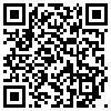 QR Code Handyversion