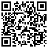 QR Code Handyversion