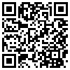 QR Code Handyversion