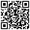 QR Code Handyversion