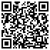 QR Code Handyversion