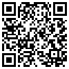 QR Code Handyversion