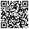 QR Code Handyversion