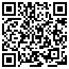 QR Code Handyversion