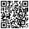 QR Code Handyversion