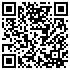 QR Code Handyversion