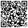 QR Code Handyversion