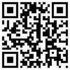 QR Code Handyversion