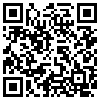 QR Code Handyversion