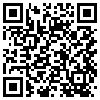 QR Code Handyversion