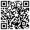 QR Code Handyversion