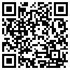 QR Code Handyversion