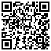 QR Code Handyversion