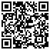 QR Code Handyversion