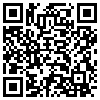 QR Code Handyversion