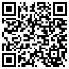 QR Code Handyversion