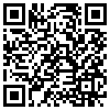 QR Code Handyversion